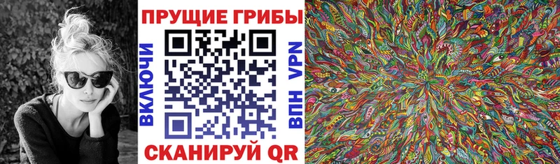 Псилоцибиновые грибы прущие грибы Верхнеуральск